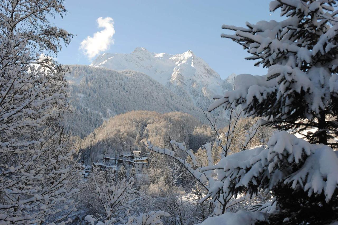 Ferienhof Oblasser Mayrhofen Exteriör bild